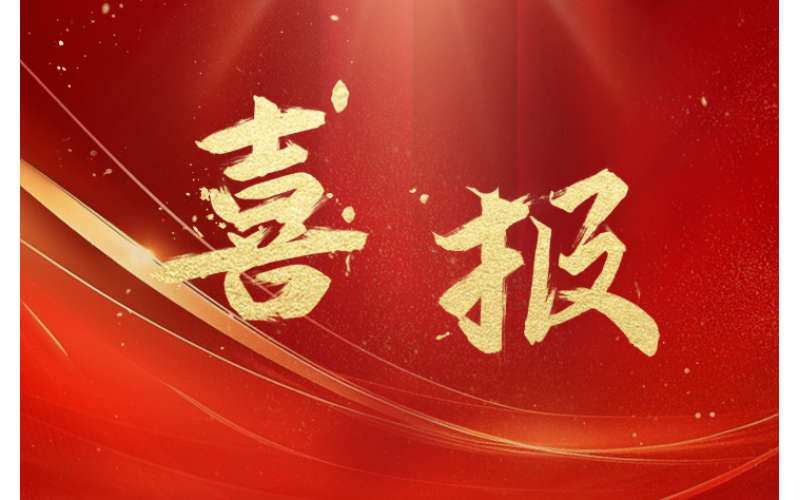 喜报！王丽同志荣获“全国宣传系统先进个人”称号